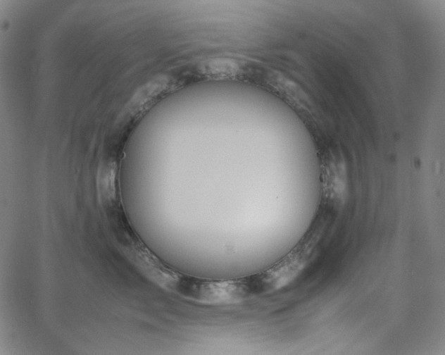 X0000063460717200601201246