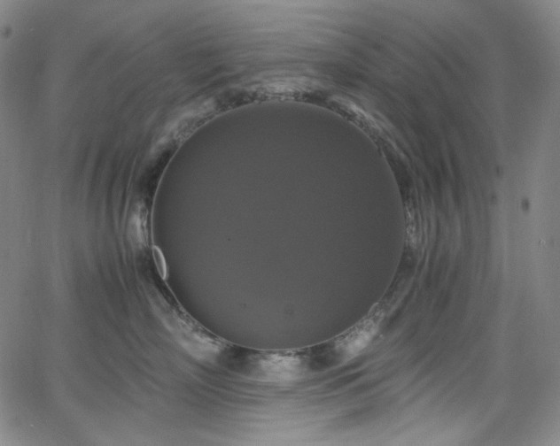 X0000063460718200601201246