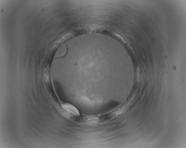 X0000063460719200601201246