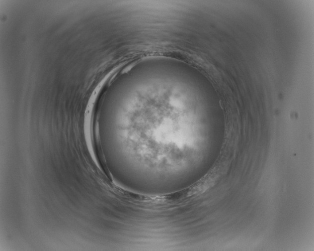 X0000063460720200601201246