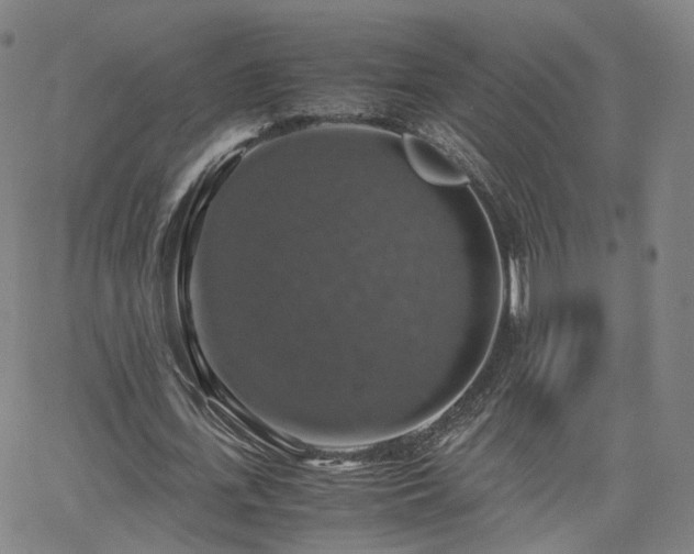 X0000063460723200601201245