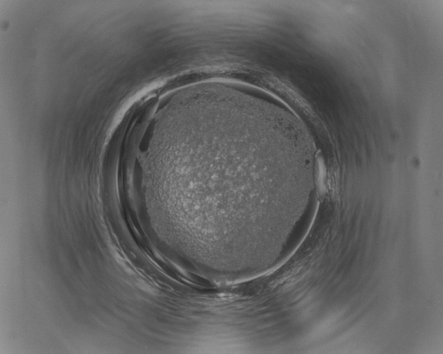 X0000063460724200601201245