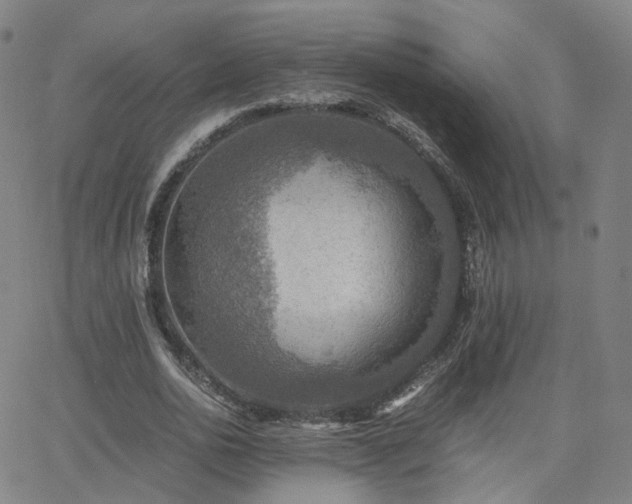 X0000063460726200601201245