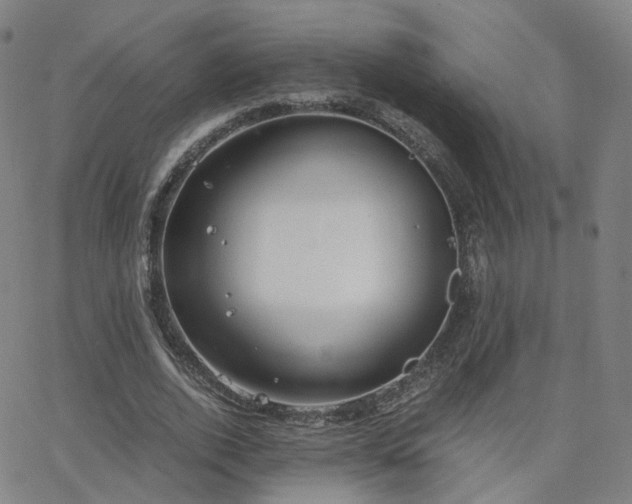 X0000063460728200601201245