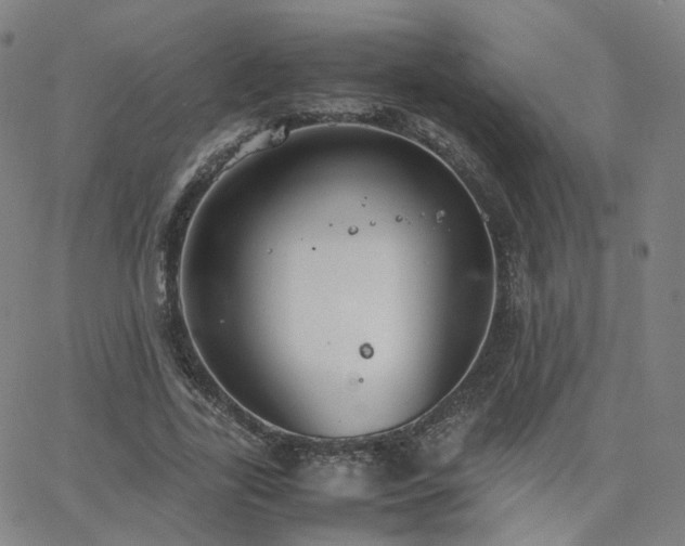 X0000063460731200601201245