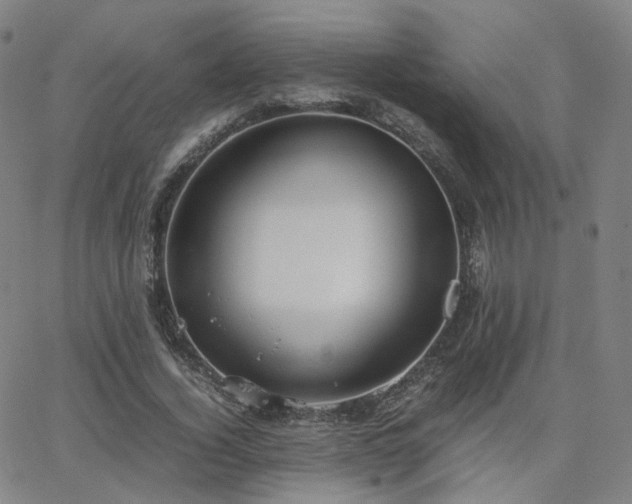 X0000063460732200601201245