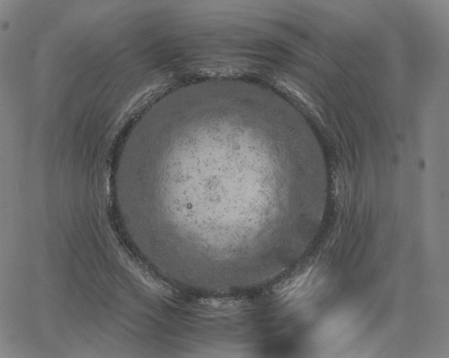 X0000063460733200601201245