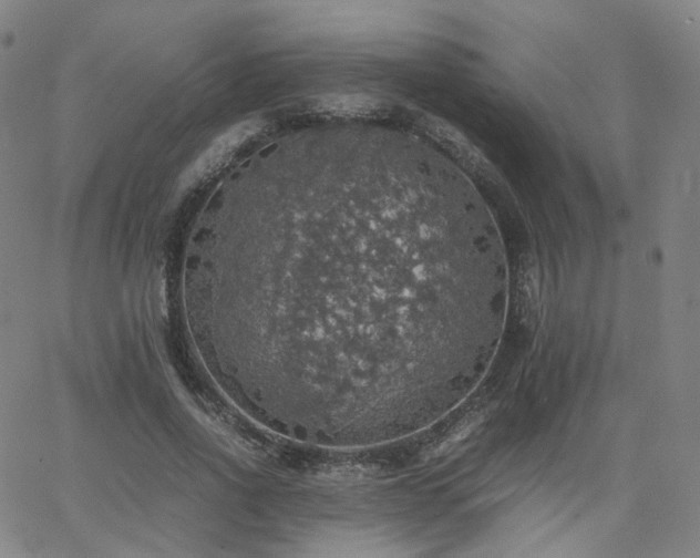 X0000063460734200601201245