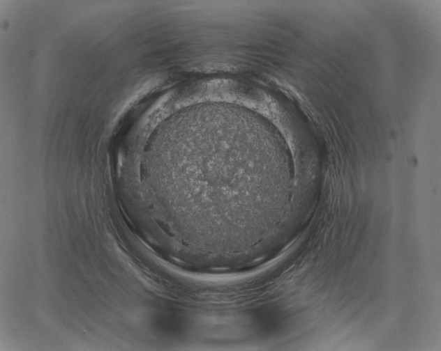 X0000063460735200601201245