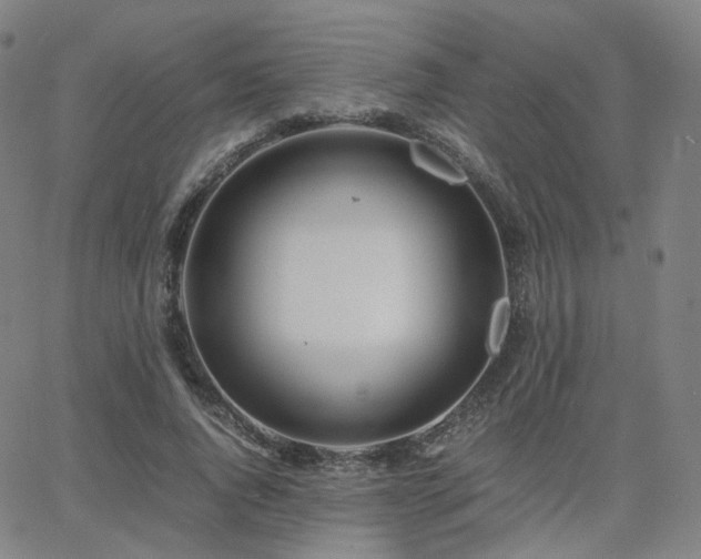 X0000063460736200601201245