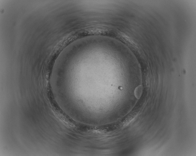 X0000063460737200601201245