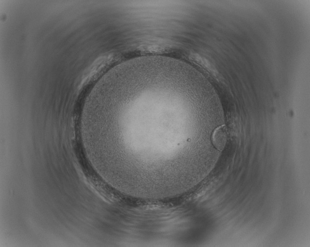 X0000063460738200601201245