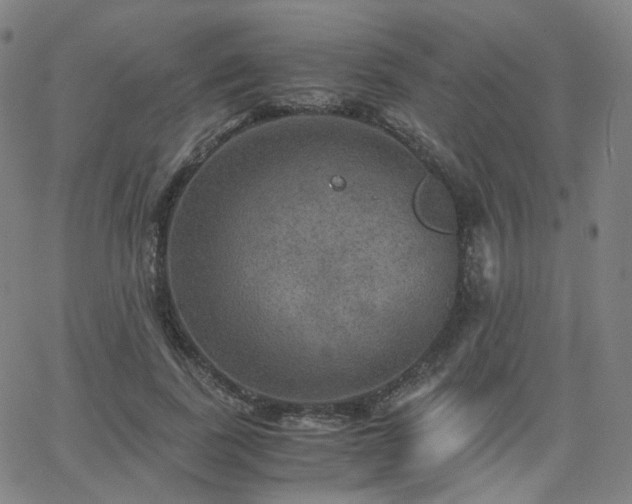 X0000063460739200601201245