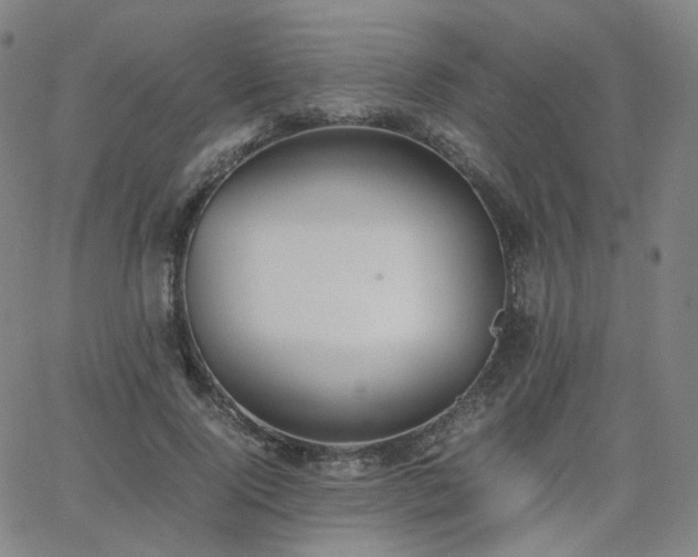 X0000063460740200601201245