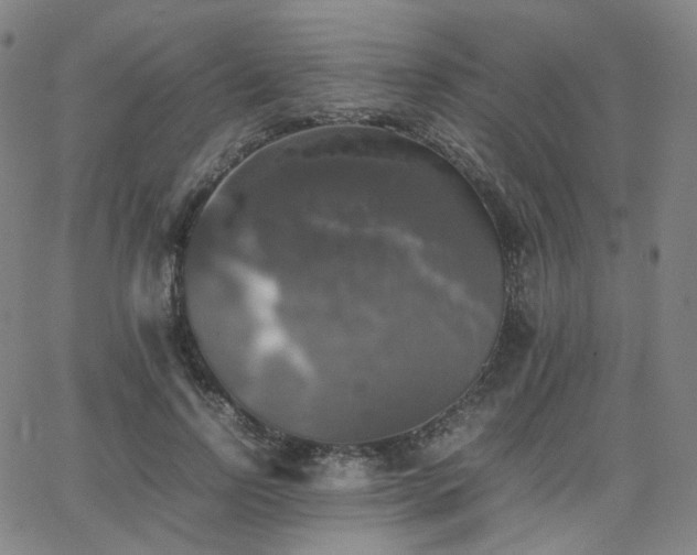 X0000063460742200601201245