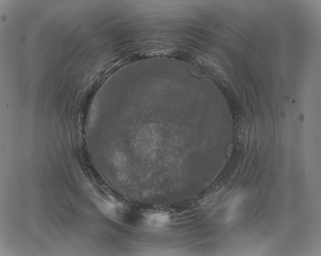 X0000063460743200601201245