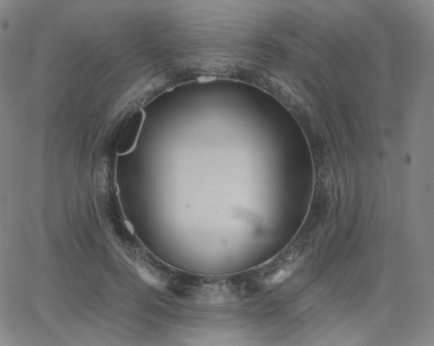 X0000063460744200601201245