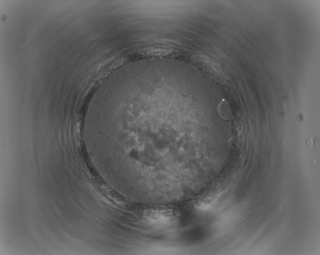 X0000063460745200601201245