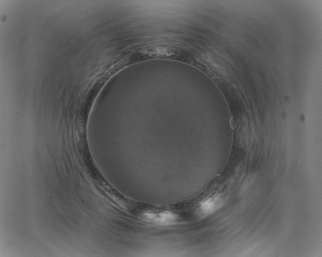 X0000063460747200601201245