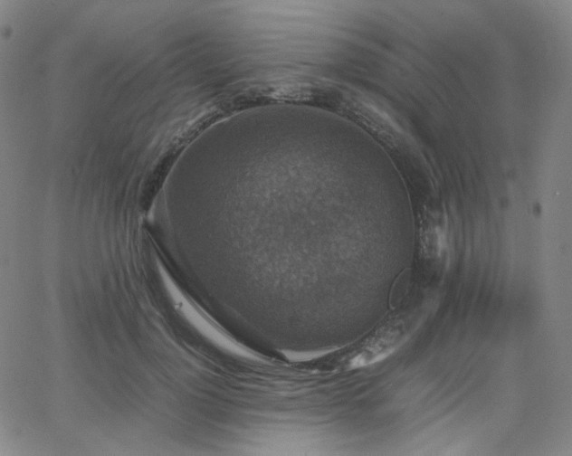 X0000063460748200601201245