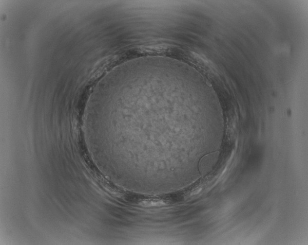 X0000063460749200601201245