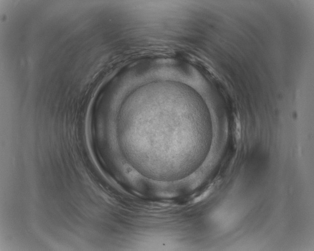 X0000063460750200601201245