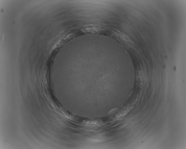 X0000063460751200601201245