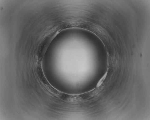 X0000063460752200601201245