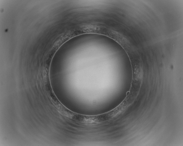 X0000063460753200601201245