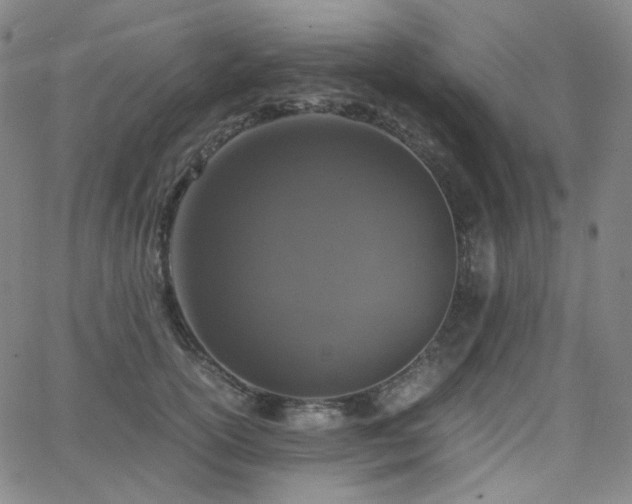 X0000063460754200601201245