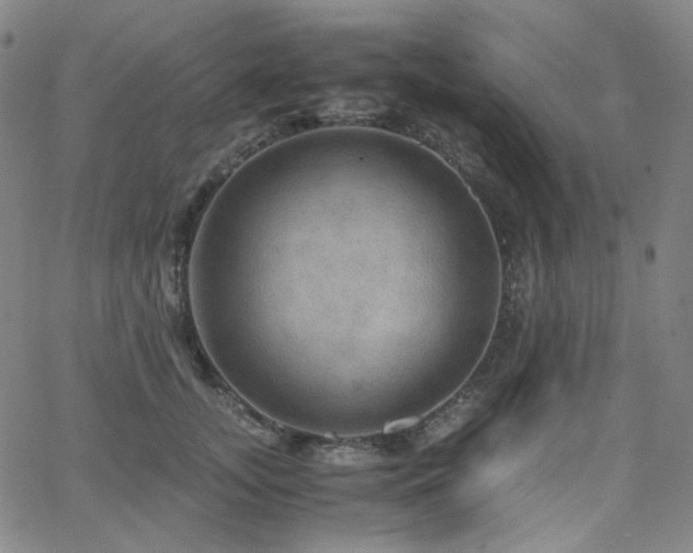 X0000063460755200601201245