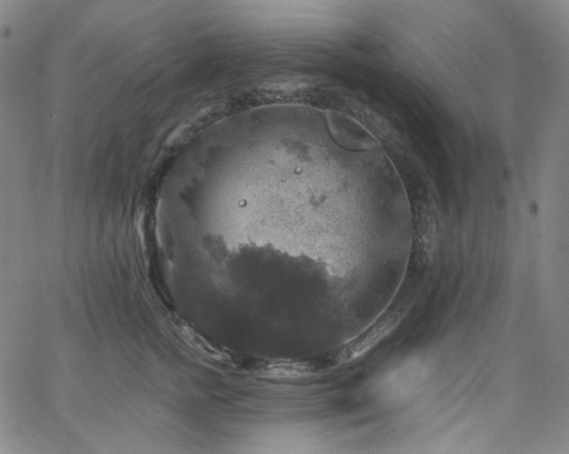 X0000063460758200601201245