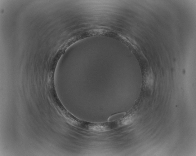 X0000063460759200601201245