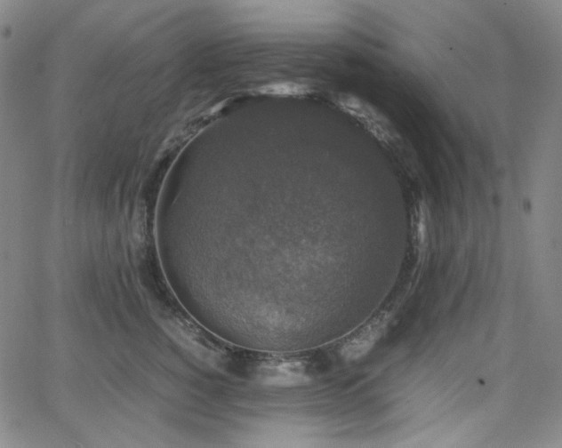 X0000063460760200601201245