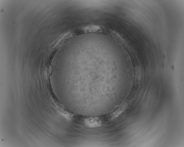 X0000063460761200601201245