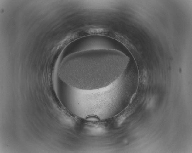 X0000063460763200601201245