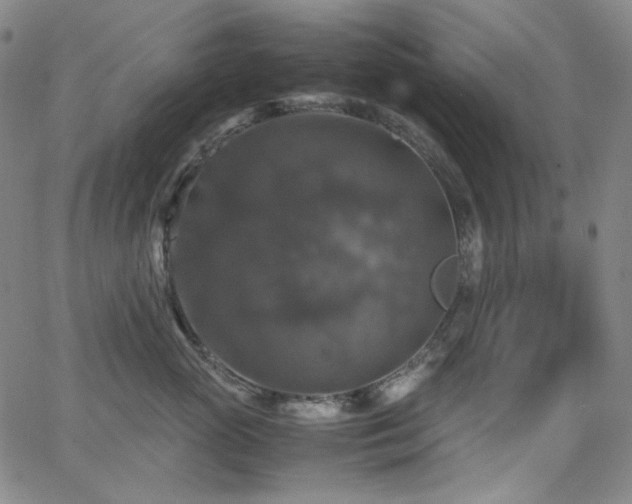 X0000063460765200601201246