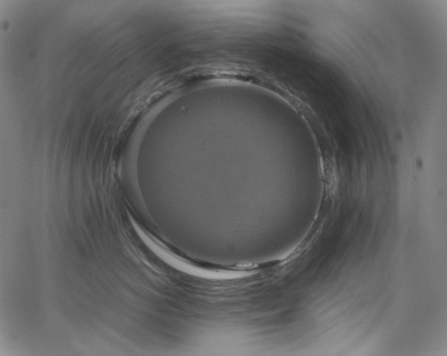 X0000063460766200601201246