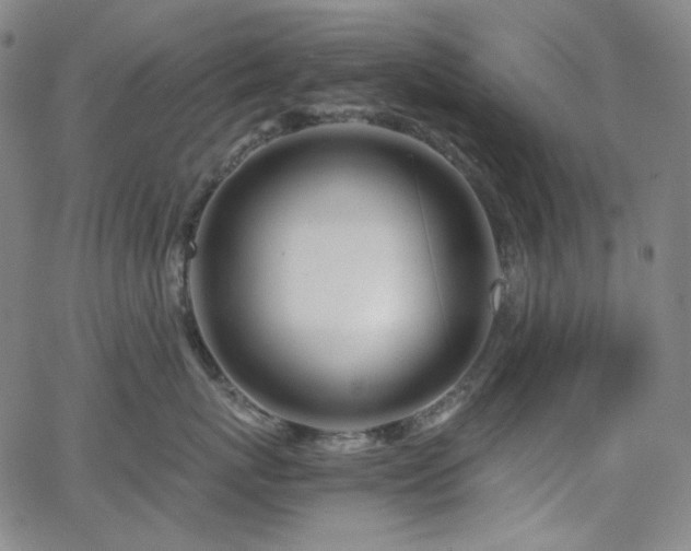 X0000063460767200601201246