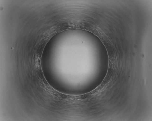 X0000063460770200601201245