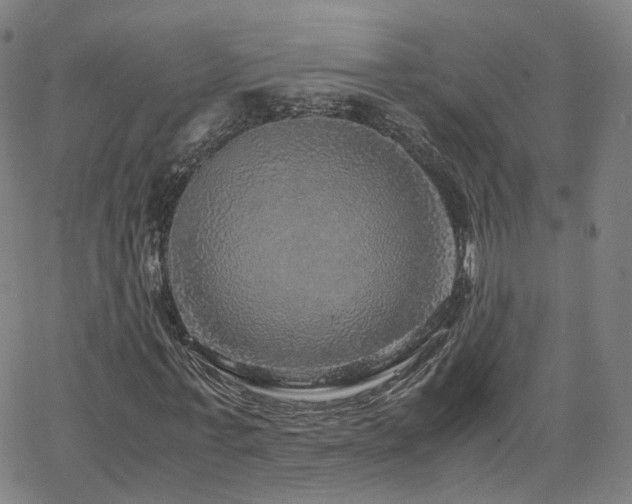 X0000063460771200601201245