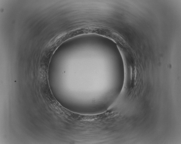 X0000063460773200601201245