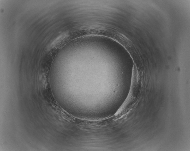 X0000063460774200601201245