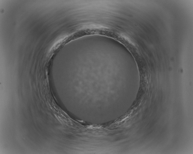 X0000063460775200601201245