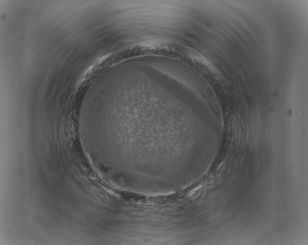 X0000063460776200601201245