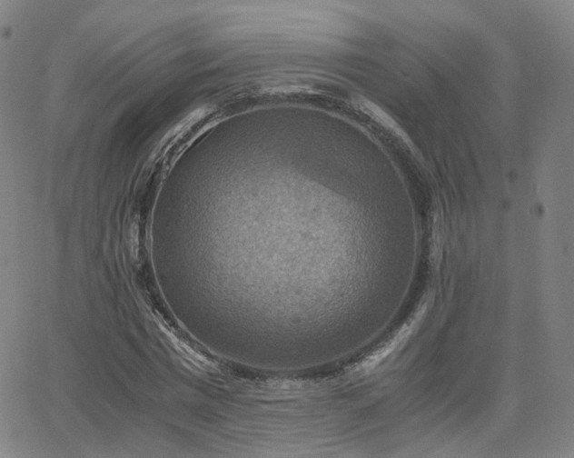 X0000063460777200601201245