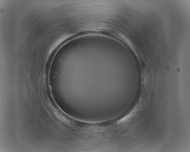 X0000063460779200601201245