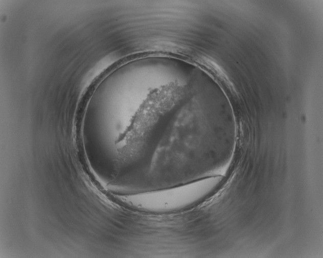 X0000063460780200601201245