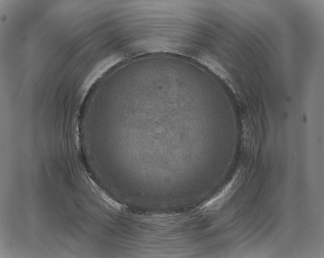 X0000063460782200601201245