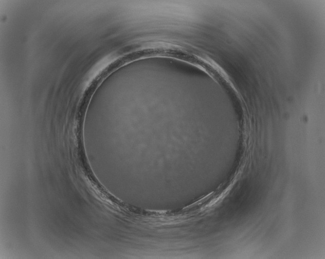 X0000063460783200601201245